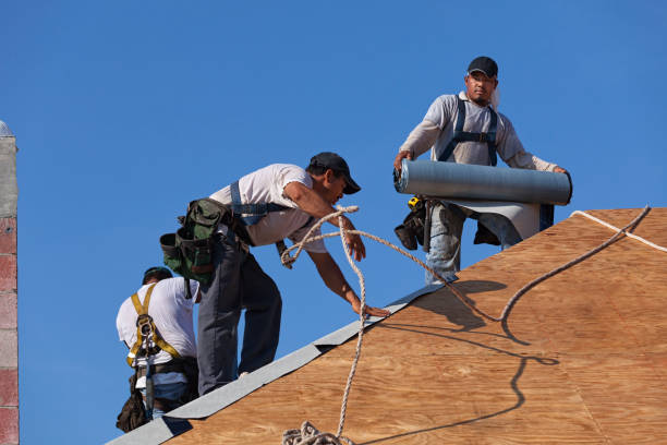 Best Metal Roofing Contractor  in Hauser, ID
