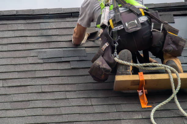 Best Roof Gutter Cleaning  in Hauser, ID