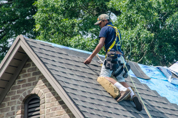 Best Roof Maintenance Services  in Hauser, ID